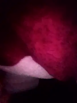 gccnfxdgg online show from 16, 1, 2026