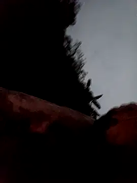 callistra online show from 13, 3, 2026