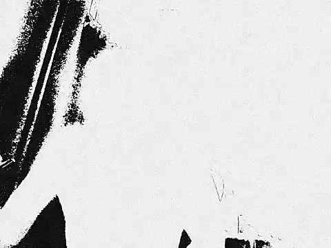 nopersona2020 online show from 2, 5, 2026