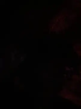 Zayinc online show from 8, 11, 2025