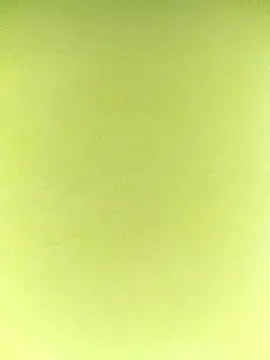 Snapshot of ipvk chatting on 7, 4, 2026 ipvk online show from 7, 4, 2026