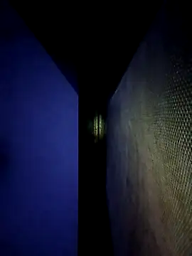 Snapshot of ipvk chatting on 10, 4, 2026 ipvk online show from 10, 4, 2026