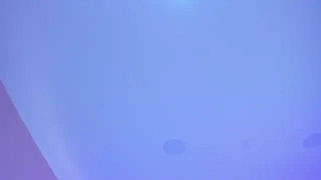 cata monrey online show from 29, 10, 2025