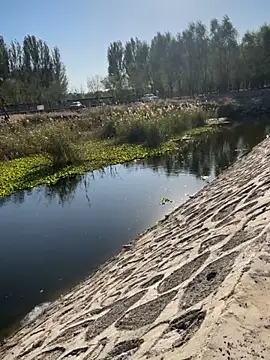 Tang-88 online show from 26, 10, 2025