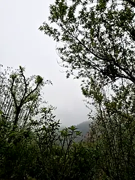 xuxulovezz online show from 1, 4, 2026