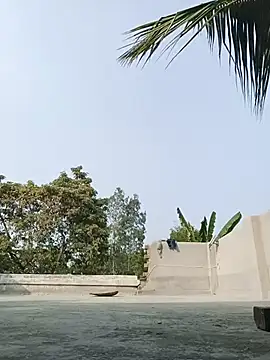 Snapshot of reya743 chatting on 3, 2, 2026 reya743 online show from 3, 2, 2026