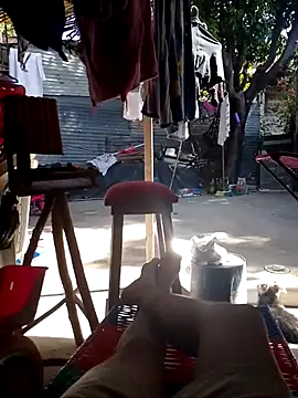 SALCEDO 041198 online show from 24, 9, 2025