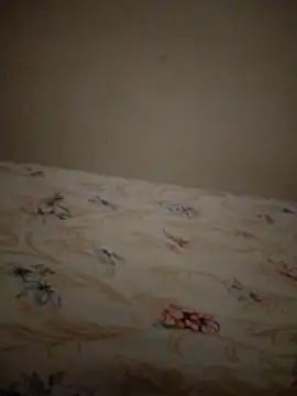 SALCEDO 041198 online show from 20, 11, 2025