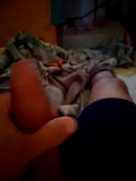 SALCEDO 041198 online show from 21, 11, 2025