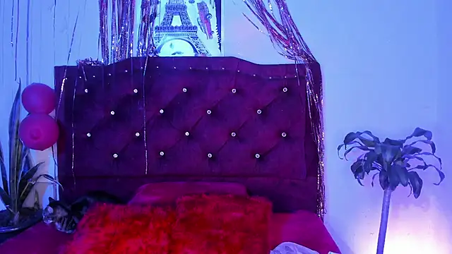 kitty  chs online show from 1, 3, 2026