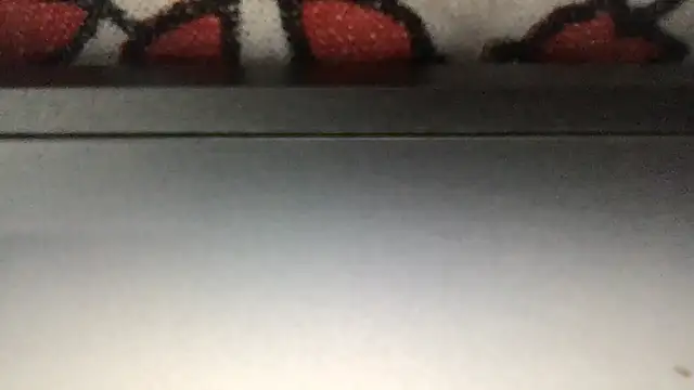 paula19800 online show from 25, 11, 2025