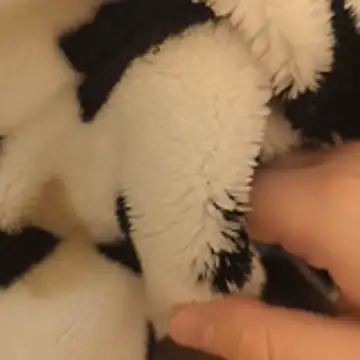 Snapshot of Geilerboy262 chatting on 15, 11, 2025 Geilerboy262 online show from 15, 11, 2025