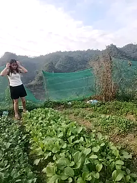 Meomeo-meo online show from 21, 11, 2025