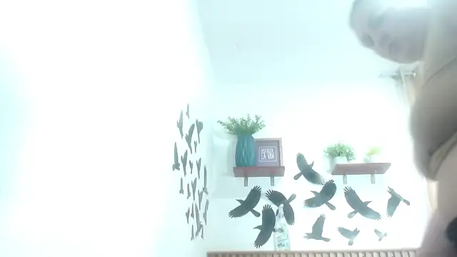 SweetRouse   online show from 19, 11, 2025