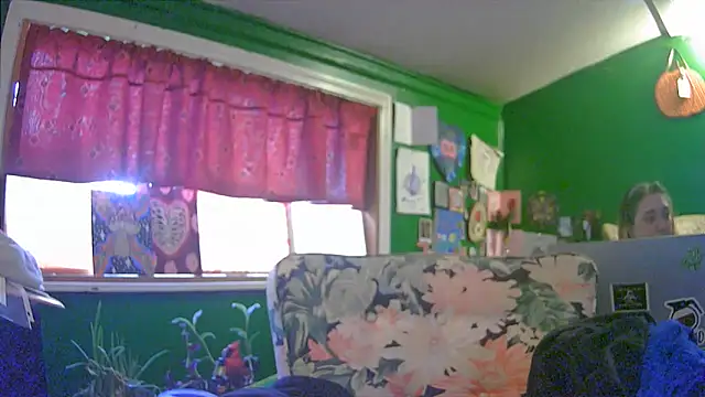 HippieDad333 online show from 6, 6, 2026