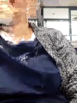 Kimkhaepretty online show from 9, 1, 2026