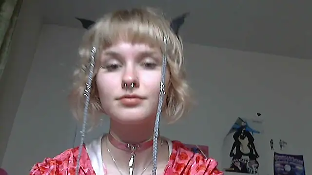 Paradoxy  online show from 14, 5, 2026