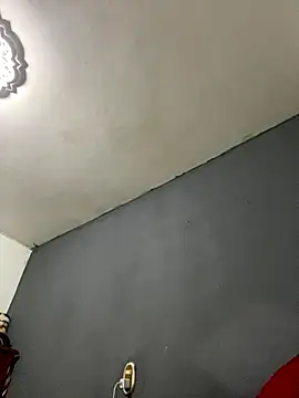 Kelly or online show from 26, 11, 2025