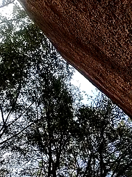 Rs sonam online show from 15, 12, 2025