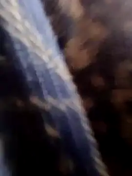 Rs sonam online show from 18, 1, 2026