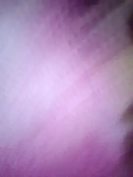 Snapshot of Lona2525 chatting on 23, 4, 2026 Lona2525 online show from 23, 4, 2026