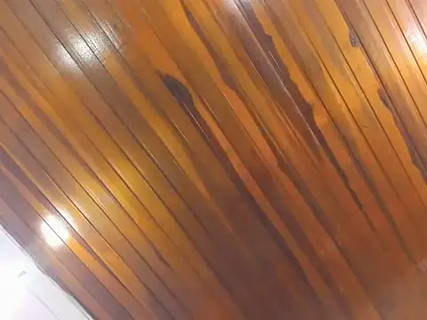 AliceCat 01 online show from 14, 11, 2025