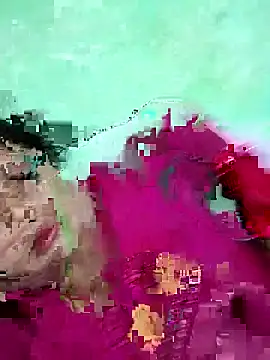 Na shreya online show from 12, 4, 2026