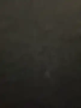 lee ly online show from 15, 12, 2025