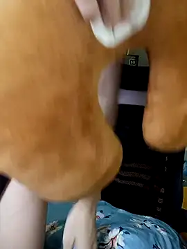 BiCute688 online show from 1, 11, 2025