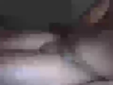 Hhhggghrrr3219 online show from 17, 3, 2026