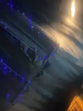 StarElexis online show from 17, 3, 2026