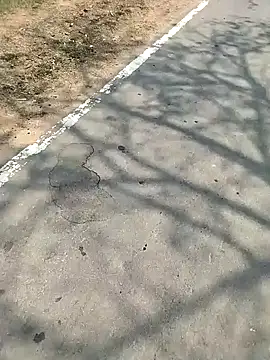 PEEHU-50 online show from 7, 3, 2026