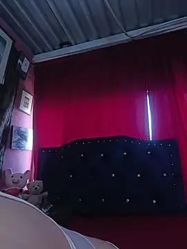 lizethavila online show from 2, 3, 2026