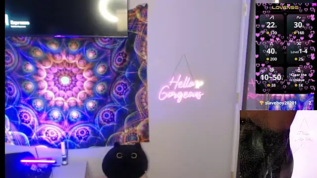 cinderellie online show from 21, 11, 2025