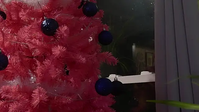 Vox Personas online show from 18, 12, 2025