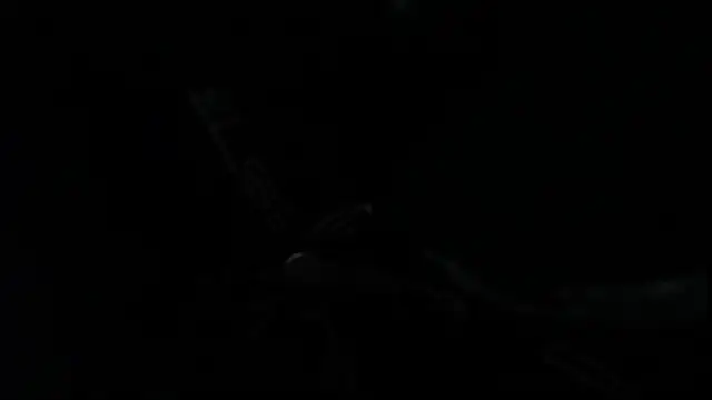 Snapshot of SteveDickson_ chatting on 14, 10, 2025 SteveDickson online show from 14, 10, 2025