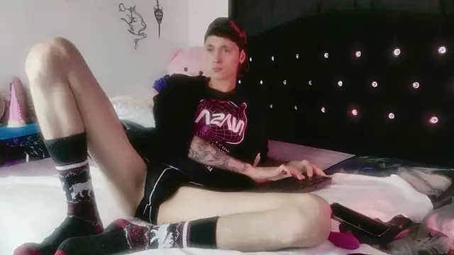 Tyler cat online show from 27, 3, 2026