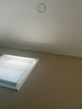 murphdolla online show from 5, 12, 2025