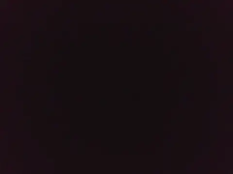 sexy jade online show from 12, 2, 2026