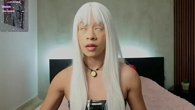 kimhilton  online show from 25, 2, 2026