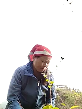 sumaybae online show from 28, 10, 2025