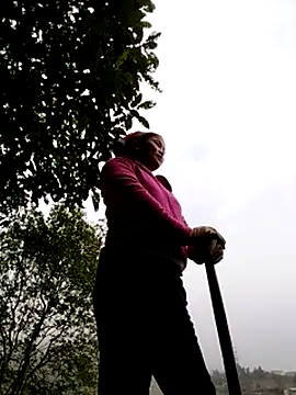 sumaybae online show from 5, 12, 2025