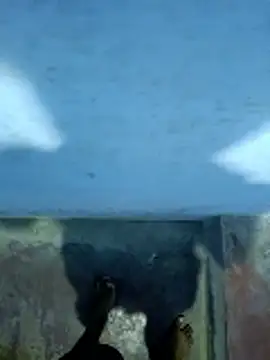 hemcrazy online show from 8, 1, 2026