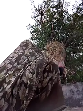 Hot eras36 online show from 22, 10, 2025