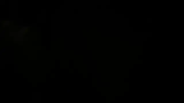 MolleDolle online show from 8, 10, 2025