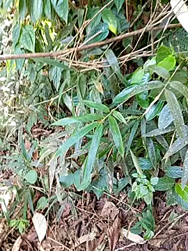 jerry-xx online show from 29, 10, 2025