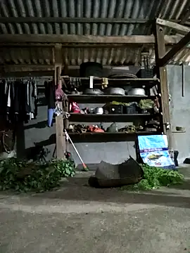 jerry-xx online show from 19, 4, 2026