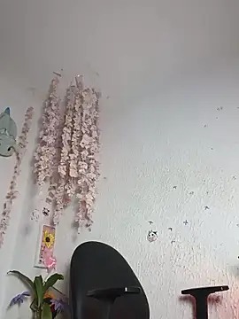 Emilycollei online show from 9, 6, 2026