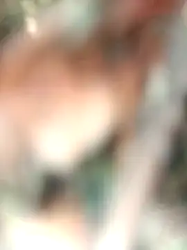 Rt shreya online show from 27, 11, 2025