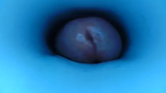 pedrolatino20cm online show from 15, 12, 2025